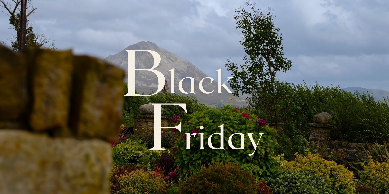Banner   black friday www.anchuirthotel.com